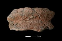 藏品(陶罐)的圖片